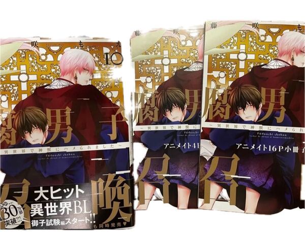 腐男子召喚 異世界で神獣にハメられました 10 アニメイト小冊子