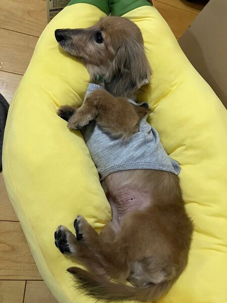 ウナママ専用バナナボートクッション