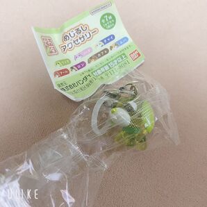 お茶犬 めじるしアクセサリー リョク