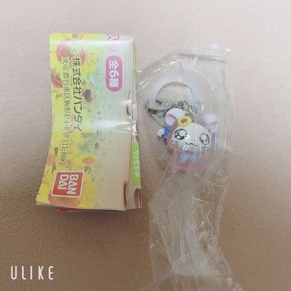 とっとこハム太郎 めじるしアクセサリー ちゅりー! リボンちゃん