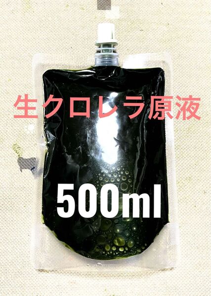 【最安値】 生クロレラ 原液 500ml 生き餌 産卵促進 メダカ 金魚 熱帯魚 稚魚 栄養食