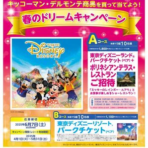 ディズニーペアチケット応募レシート【カテゴリー変更可能】