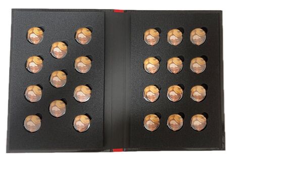 僕のヒーローアカデミア ヒロアカ 全サ 応募者全員大サービス ディスプレイ缶バッジ 上鳴電気 23点