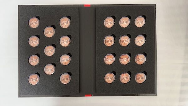 僕のヒーローアカデミア ヒロアカ 全サ 応募者全員大サービス ディスプレイ缶バッジ 心操人使 23点