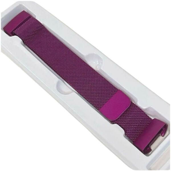 Fitbit Charge4 / 3 / 3SE / 4SE ステンレス マグネット バンド L パープル