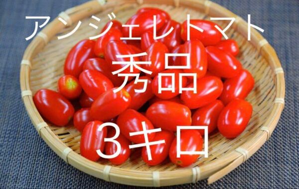 アンジェレトマト