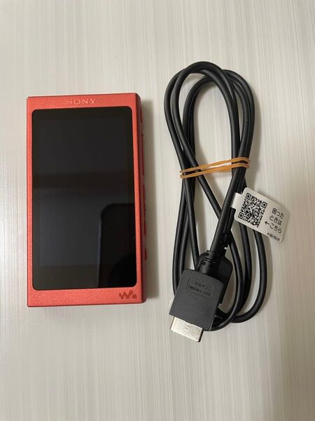 Sony ウォークマン WALKMAN NW-A45