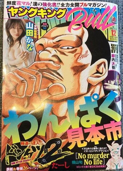 ヤングキングBULL 最新号 切り取り有