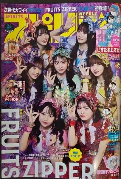 ビッグコミックスピリッツ 26号 応募券無
