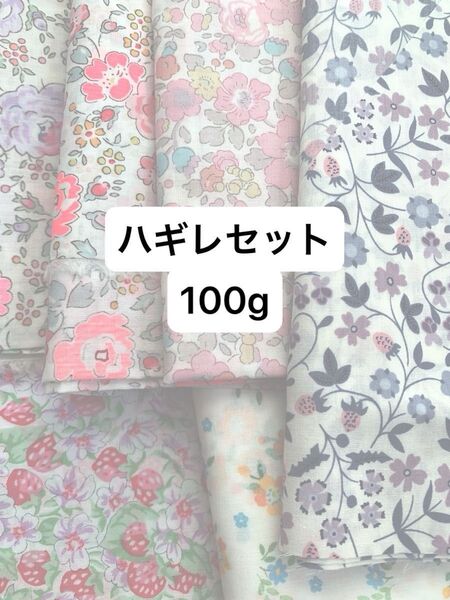 大きめのハギレセット100g