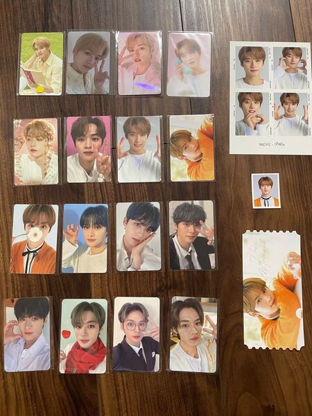 219 リノ 19枚セット nacific Stray Kids
