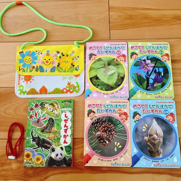 ひかりのくに めざせ!しぜんはかせ大図鑑 春夏秋冬 植物図鑑 生き物図鑑 5冊