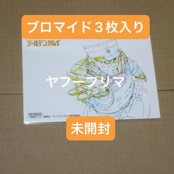 ゴールデンカムイ 杉元 アニメイト バースデーフェア 特典 複製原画 ブロマイド 3枚入り