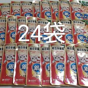 銀のスプーン 総合栄養食 まぐろ・かつおにかつお節入り55g×24袋 パウチ ユニチャーム