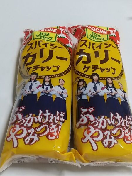 KAGOME カゴメ スパイシーカリーケチャップ 170g×2本 味変 ソース