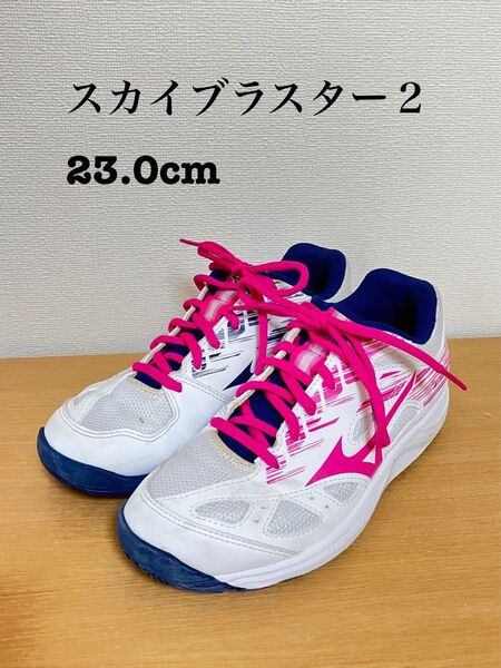 ミズノ スカイドブラスター 2 バドミントンシューズ 23.0cm