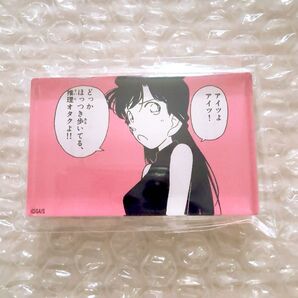 名探偵コナン 毛利蘭 北栄町 コナン探偵社 アクリルブロック 隻眼の残像