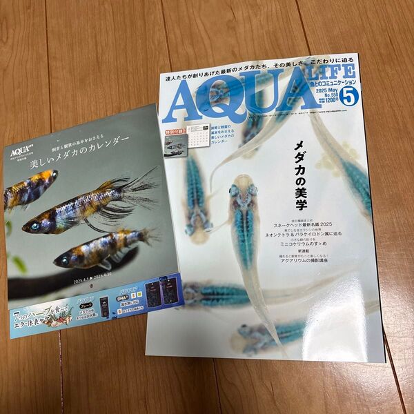 月刊アクアライフ2025年5月号