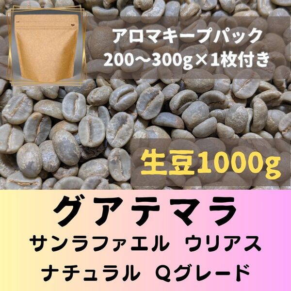 グァテマラ サンラファエル ウリアス 1kg アロマキープパック付 コーヒー生豆