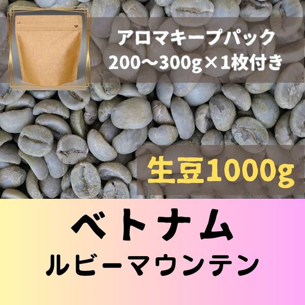 ベトナム ルビーマウンテン アラビカ 1kg アロマキープパック付き コーヒー生豆