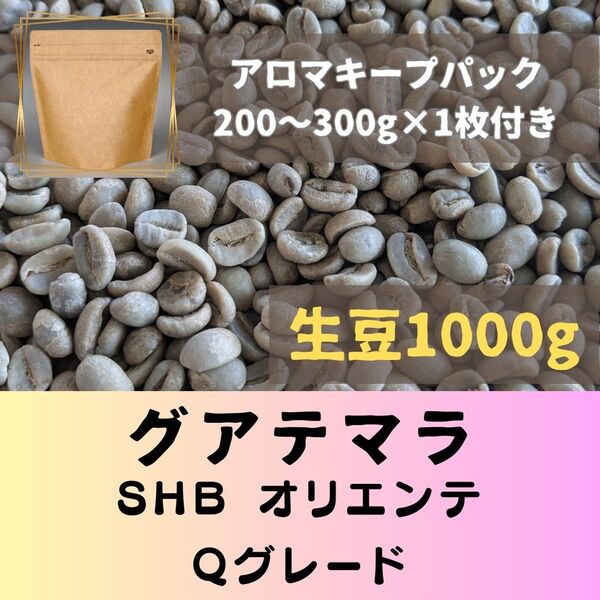グァテマラ SHB オリエンテ 1kg アロマキープパック付き コーヒー生豆