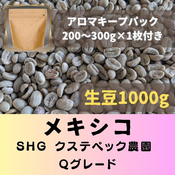 メキシコ SHG クステペック農園 1kg アロマキープパック付き コーヒー生豆