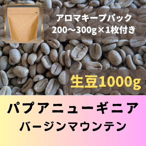 パプアニューギニア バージンマウンテン 1kg アロマキープパック付き コーヒー生豆