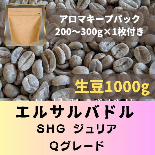エルサルバドル SHG ジュリア 1kg アロマキープパック付き コーヒー生豆