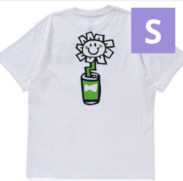 GREEN DAY WASTED YOUTH T Shirt Verdy S