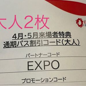 大阪関西万博2025 通期パス 大人用プロモーション 2枚セット