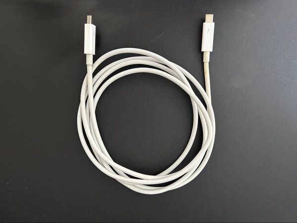 Apple Thunderbolt Cable アップル サンダーボルトケーブル2m