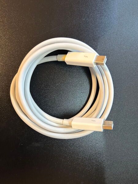 Apple Thunderbolt Cable アップルサンダーボルトケーブル 2m