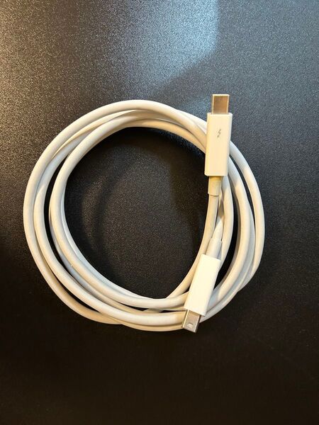 Apple Thunderbolt Cable 2m/サンダーボルトケーブル