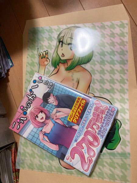 こういうのがいい 10巻 メロンブックス特典 クリアファイルセット 新品⑦