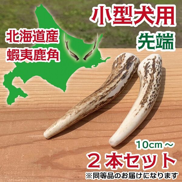 小型犬用 蝦夷鹿の角 2本セット 北海道産 鹿の角 犬 おもちゃ シカ ツノ