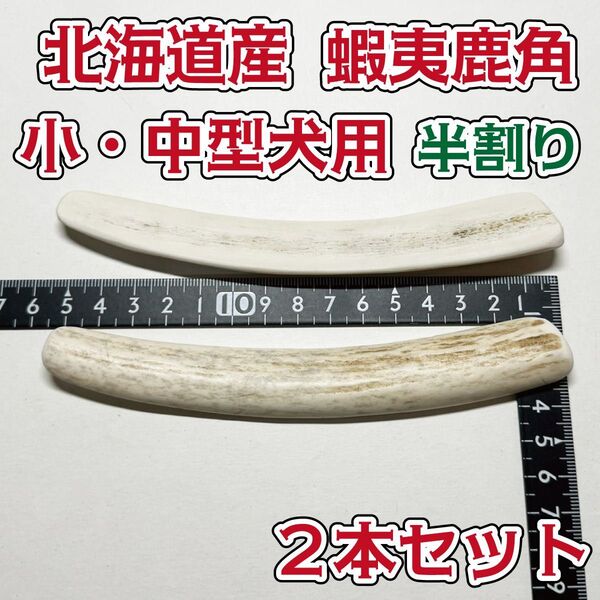 小型〜中型犬用 蝦夷鹿の角 半割り2本セット 鹿の角 犬 シカ ツノ