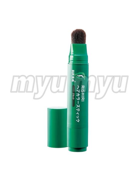 Sastty 白髪用 利尻ヘアカラースティック ブラック 20g