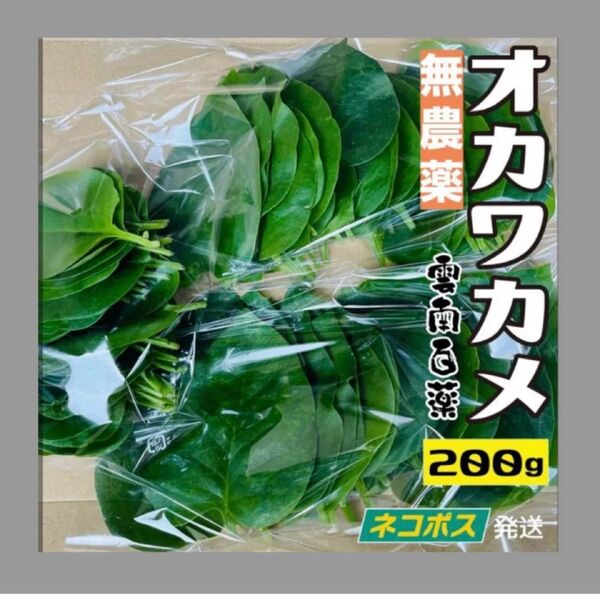 ワカメ おかわかめ 約200g 雲南百薬 無農薬自然栽培 スーパーフード