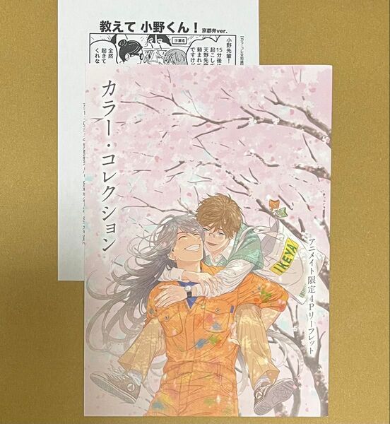 カラー・コレクション アニメイト特典リーフレット&ペーパーのみ