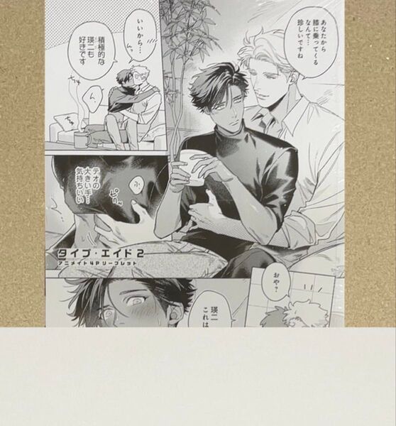 タイプ・エイド(2) アニメイト特典リーフレットのみ