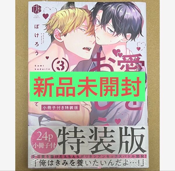★新品未開封★噛み砕いて愛をおしえて(3) 小冊子付き特装版