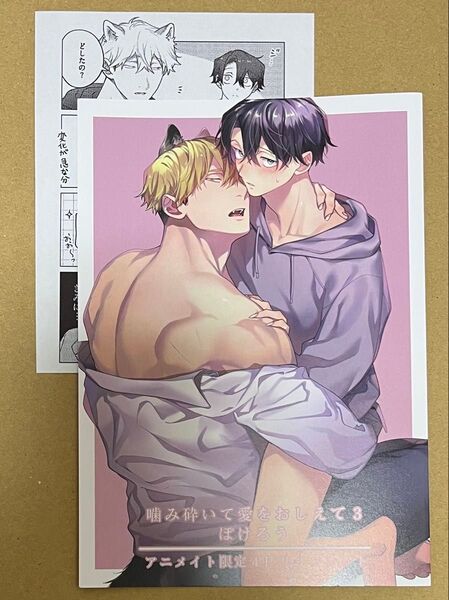噛み砕いて愛をおしえて(3) アニメイト特典リーフレット&ペーパーのみ
