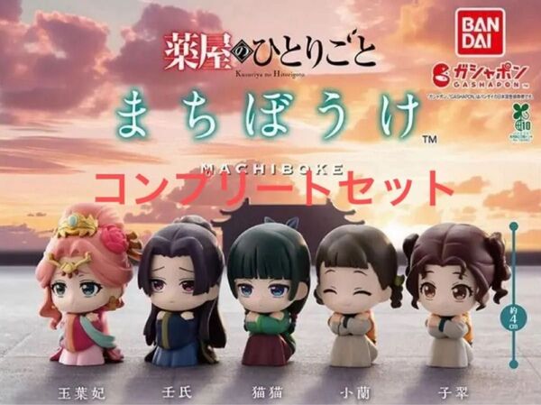 薬屋のひとりごと まちぼうけ 待ちぼうけ コンプリートセット