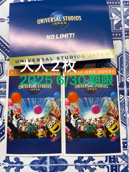 未使用 USJ 大人 ペアチケット ユニバーサルスタジオジャパン ユニバ チケット(2025 6.30期限)