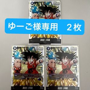 【最安値 即日発送】 孫悟空 SCR 2枚セット 未使用