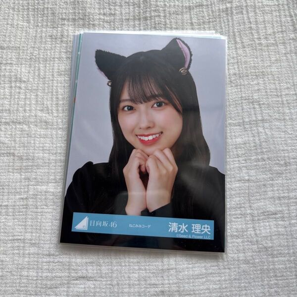 清水理央 生写真 まとめ売り