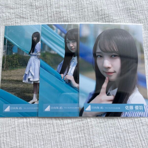 佐藤優羽 ジャーマンアイリス