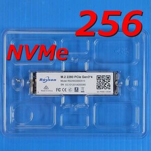 【SSD 256GB】Rayson RS256GSSD510 M.2 NVMe 訳有品