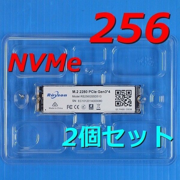 【SSD 256GB 2個セット】Rayson RS256GSSD510 M.2 NVMe 訳有品