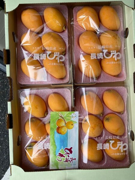 びわ4P